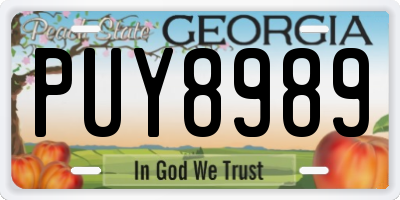 GA license plate PUY8989