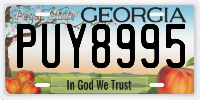GA license plate PUY8995
