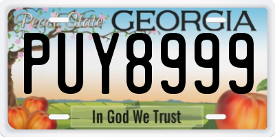 GA license plate PUY8999