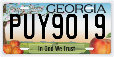 GA license plate PUY9019