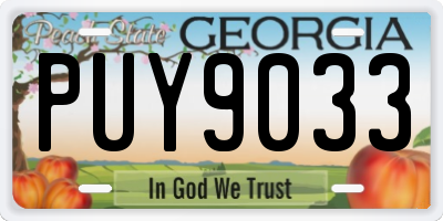 GA license plate PUY9033