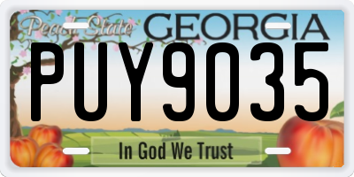 GA license plate PUY9035