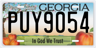 GA license plate PUY9054