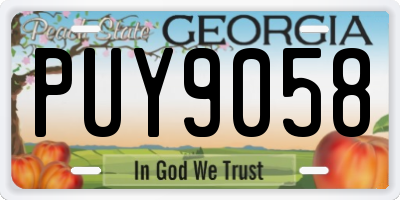 GA license plate PUY9058