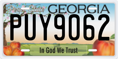GA license plate PUY9062