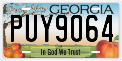 GA license plate PUY9064