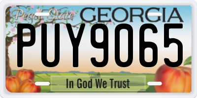 GA license plate PUY9065
