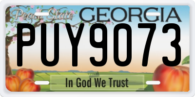 GA license plate PUY9073