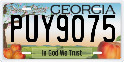 GA license plate PUY9075