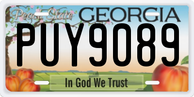 GA license plate PUY9089