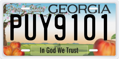 GA license plate PUY9101