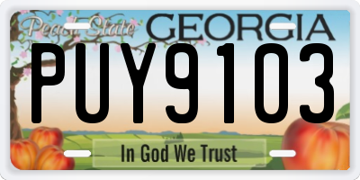 GA license plate PUY9103