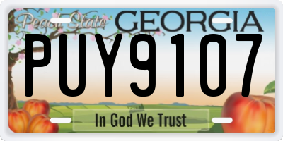 GA license plate PUY9107