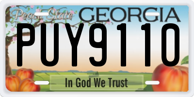 GA license plate PUY9110