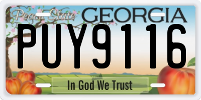 GA license plate PUY9116
