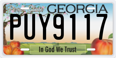GA license plate PUY9117