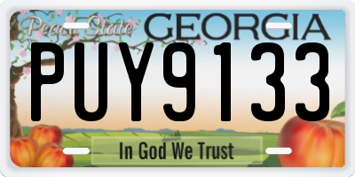 GA license plate PUY9133