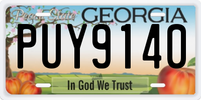 GA license plate PUY9140