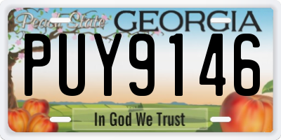 GA license plate PUY9146