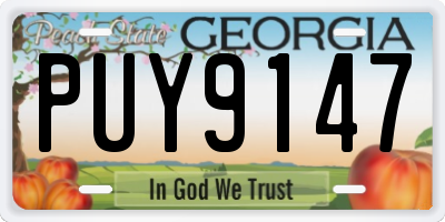 GA license plate PUY9147