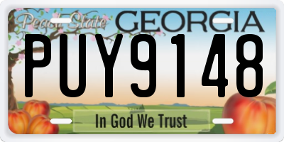 GA license plate PUY9148