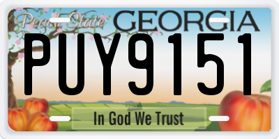 GA license plate PUY9151