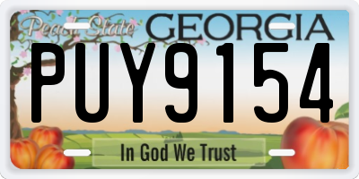 GA license plate PUY9154