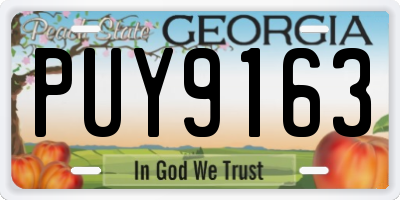 GA license plate PUY9163