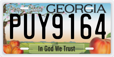GA license plate PUY9164