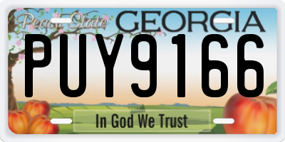 GA license plate PUY9166