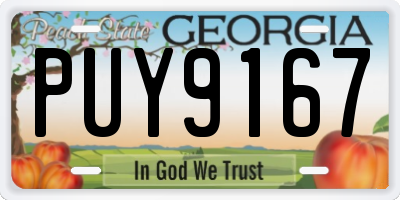 GA license plate PUY9167