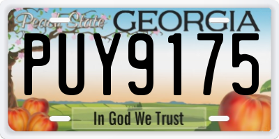 GA license plate PUY9175