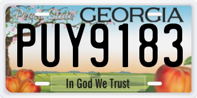 GA license plate PUY9183