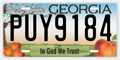 GA license plate PUY9184