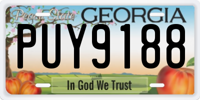 GA license plate PUY9188