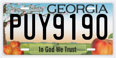 GA license plate PUY9190