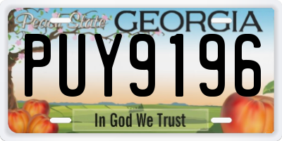 GA license plate PUY9196