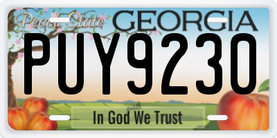 GA license plate PUY9230