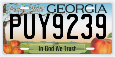 GA license plate PUY9239