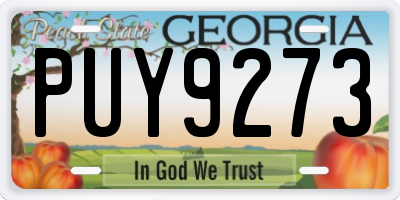 GA license plate PUY9273
