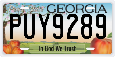 GA license plate PUY9289