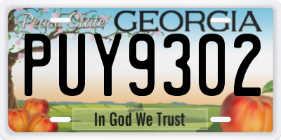GA license plate PUY9302