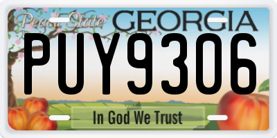 GA license plate PUY9306
