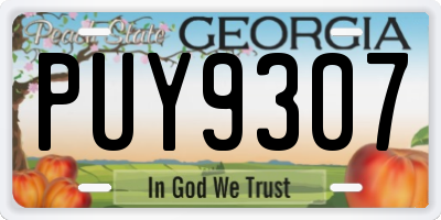 GA license plate PUY9307
