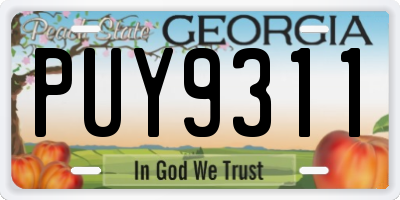 GA license plate PUY9311