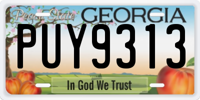 GA license plate PUY9313