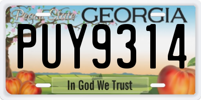 GA license plate PUY9314