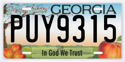 GA license plate PUY9315