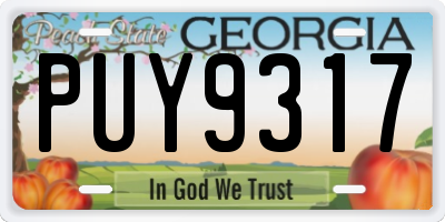 GA license plate PUY9317