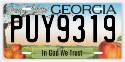 GA license plate PUY9319